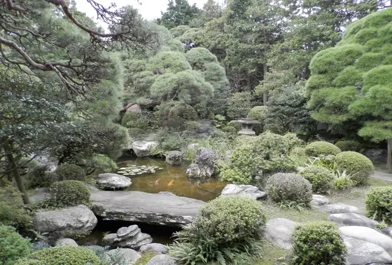 主庭