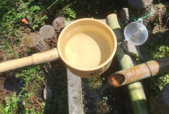 不老長寿の水