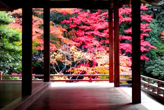 新緑、紅葉、雪…四季をめでる庭園