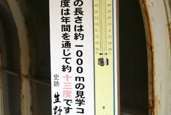 年間を通じて13度