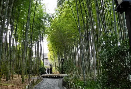 夏に来たかったね