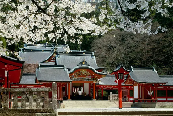 春には桜も