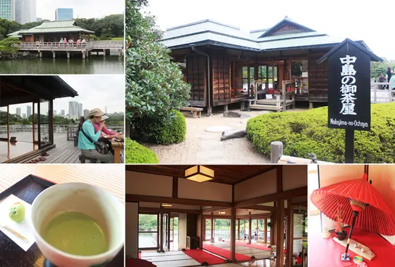 都心とは思えない風情があります。