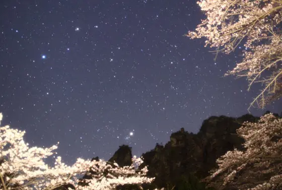 夜はライトアップされます。