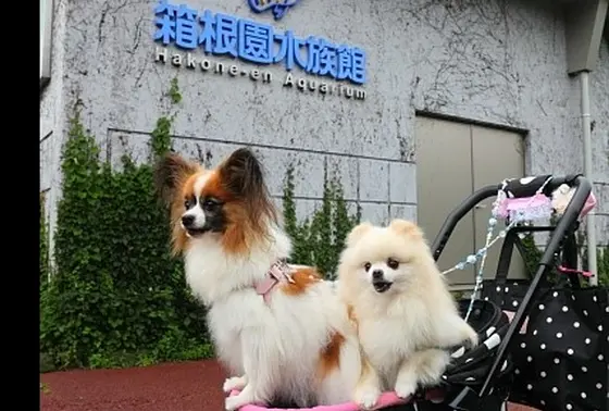 箱根園水族館