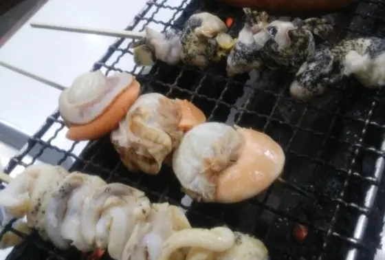 地元でとれた海の味を堪能しちゃお！