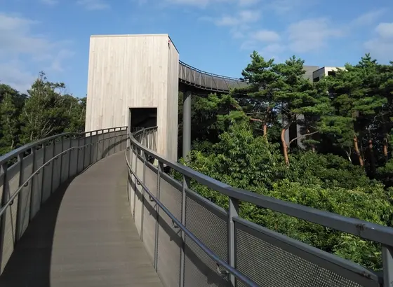 上へ上へ
