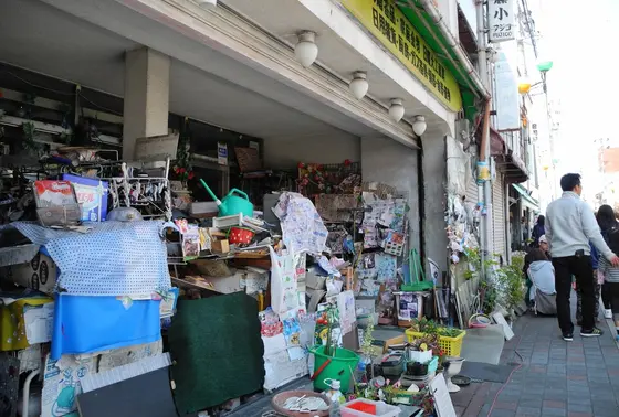 コレでもお店