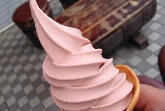 甲斐路ソフト
