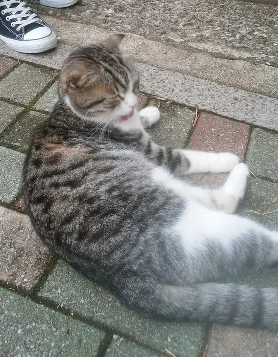 写真②