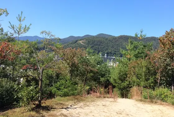 頂上から「大」を望む