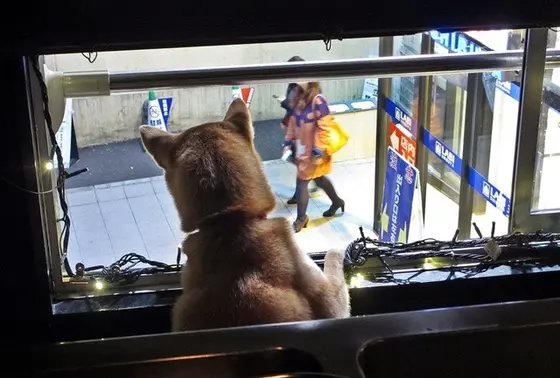 店長は人間ウォッチングが大好き