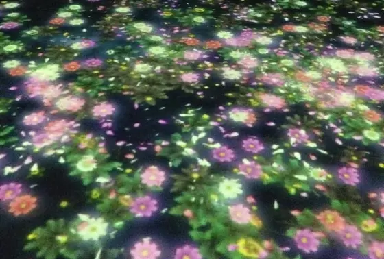 花と私