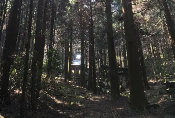見上げれば