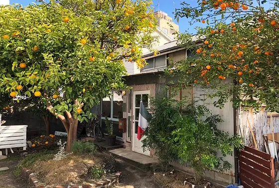 ◆PICCOLOTTO & GREEN HOUSE Café(ピッコロット アンド グリーンハウスカフェ)