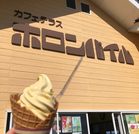 ホロンバイル