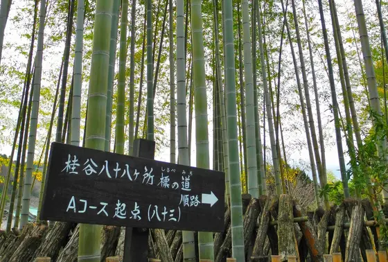 当然巡礼もある