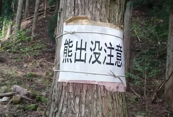 クマ出没注意