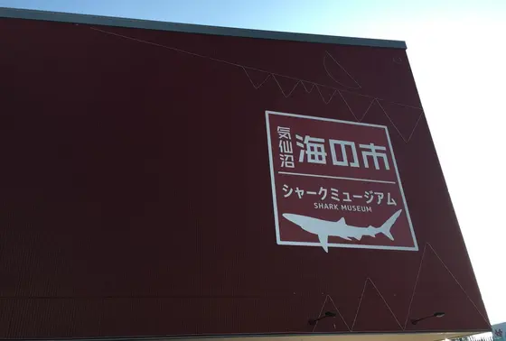 シャークミュージアム