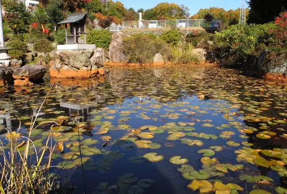 いかにも池らしい池