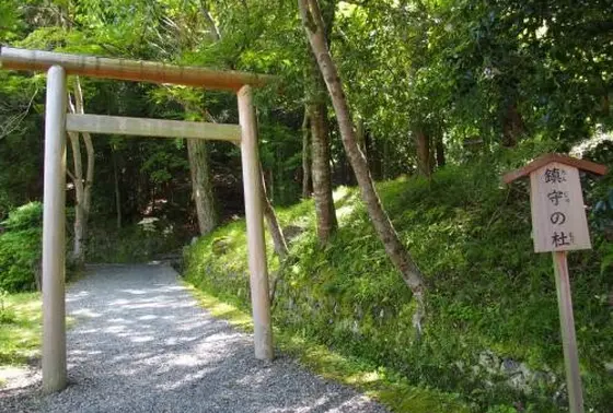 鎮守の森