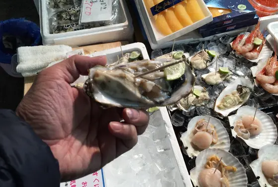 松島のカキ