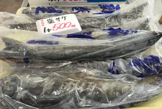 サケ1本500円って