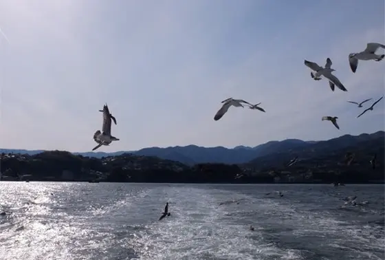 ずっとついてくる！