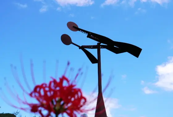 お花も咲いてます