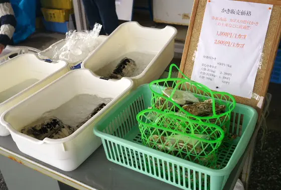 ちょっとお買い得
