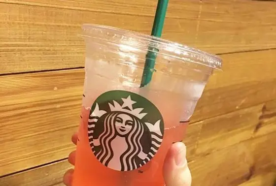 🍹フィジオ
