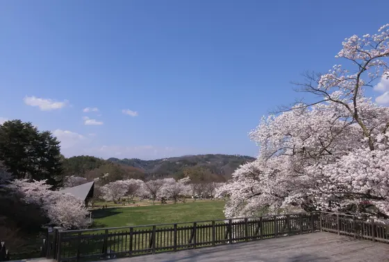 とにかく広い！そして綺麗！