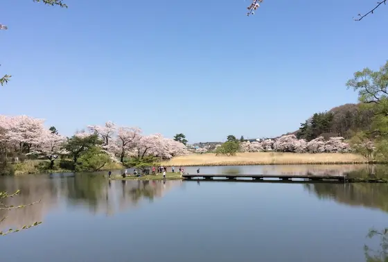 釣り堀（芝水園）