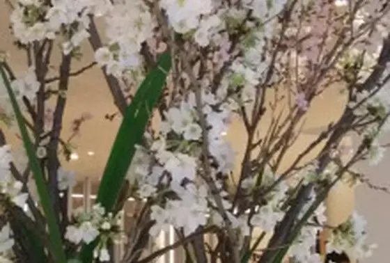 光が差し込む店内