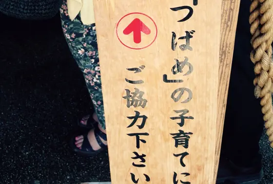 つばめの巣