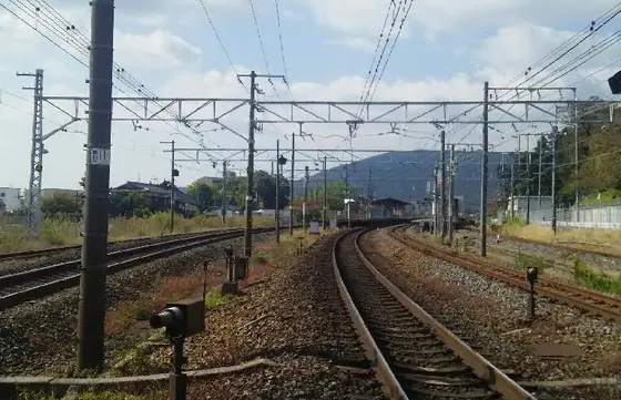 JRの踏切より。とにかく幅がひろ～い！