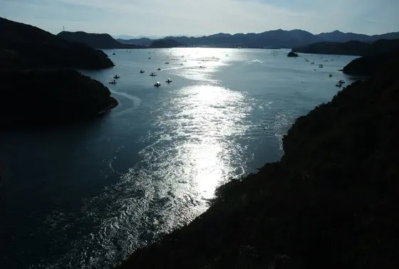 潮の流れが夕日に映えて・・・