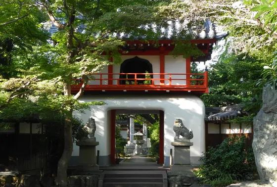 竜宮門からどうぞ