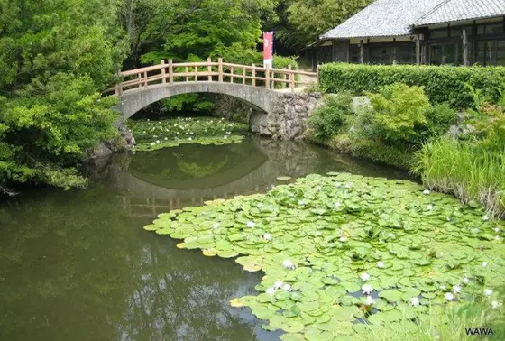 血の池（瑠璃宝池）