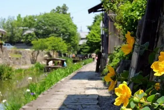 八幡川緑地　日牟禮八幡宮（ひむれはちまんぐう）付近の水郷