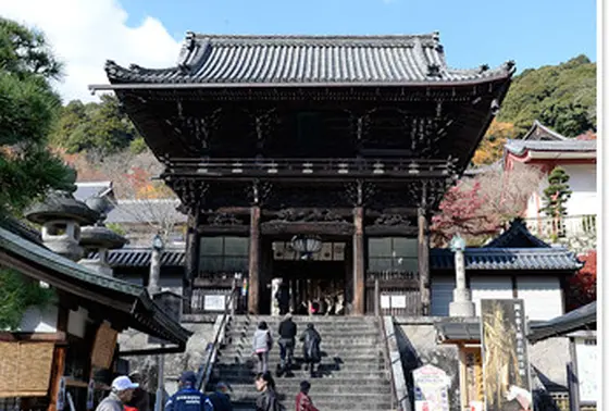 ちょっと階段多めのお寺ですが、、、