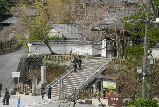 修善寺がよく見える