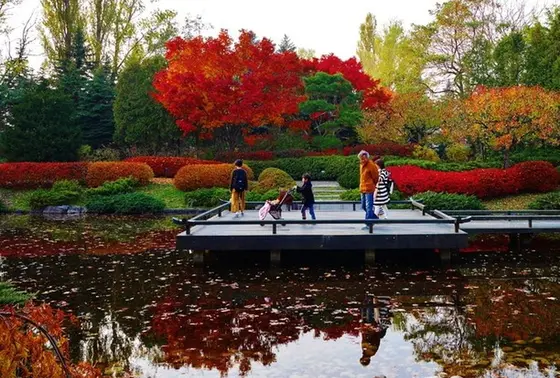 丁寧に手入れされている庭園