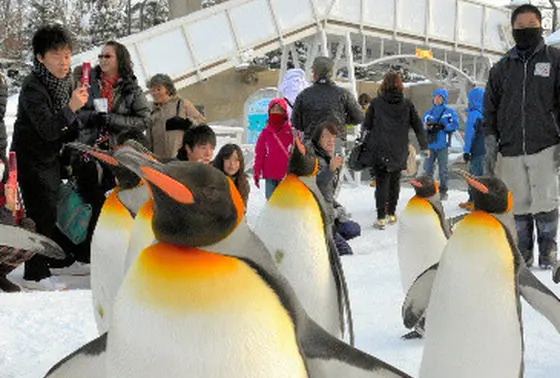 ペンギン館がオススメ！