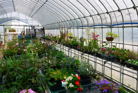 花苗販売や喫茶店