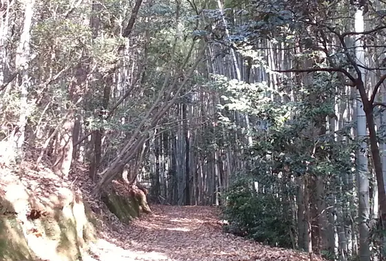 徒然草にも書かれちゃうほどの山道！