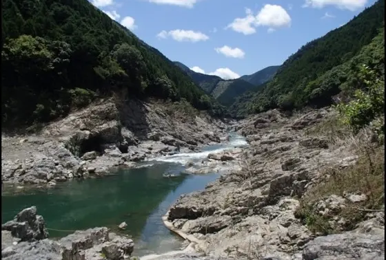 自然の中で