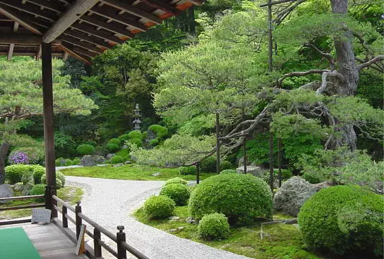 「深山」と「水」が表現された庭