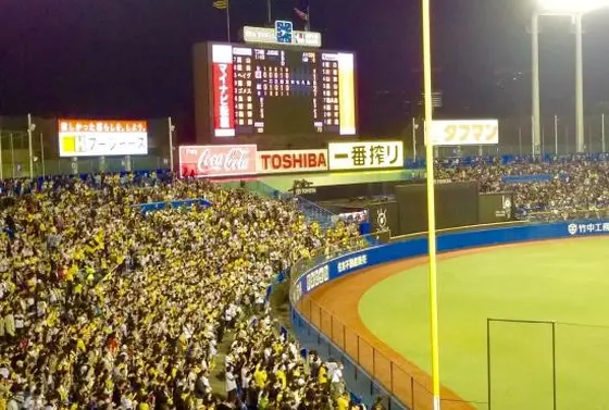 神宮球場外野