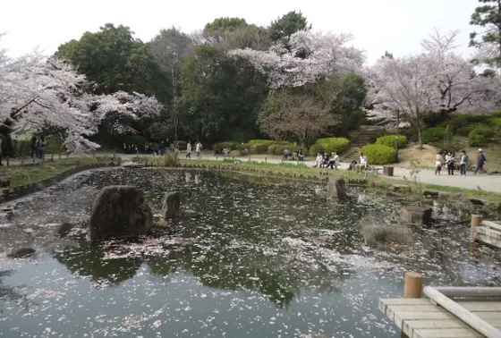 哲学堂公園4